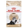 Royal Canin FBN Persian Adult - sucha karma dla kota dorosłego - 4kg
