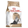 Royal Canin FBN Persian Adult - sucha karma dla kota dorosłego - 4kg