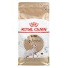 ROYAL CANIN FBN Sphynx Adult - sucha karma dla dorosłego kota - 2kg