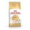 ROYAL CANIN FBN Sphynx Adult - sucha karma dla dorosłego kota - 2kg
