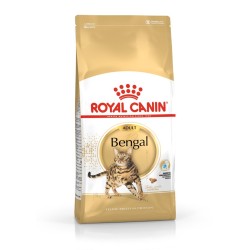 ROYAL CANIN Bengal Adult - sucha karma dla dorosłego kota - 2 kg