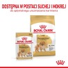ROYAL CANIN BHN Pomeranian Adult - sucha karma dla psa dorosłego - 3kg