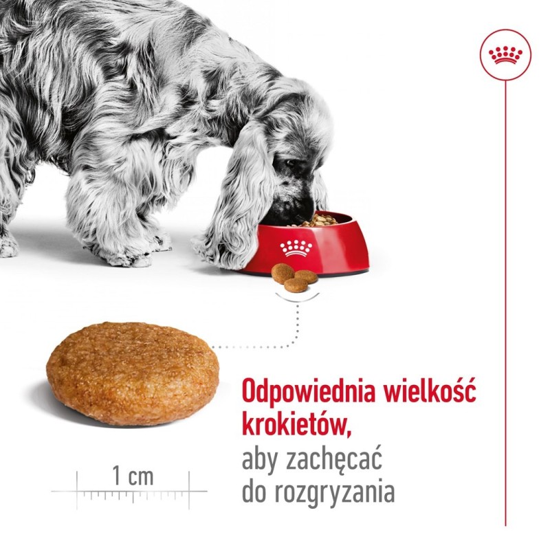 Royal Canin SHN Medium Adult BF 4kg