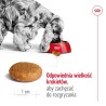 Royal Canin SHN Medium Adult BF 4kg