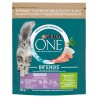 PURINA One Bifensis Adult Sensitive Bogata w Indyka i Ryż - sucha karma dla kota - 800 g