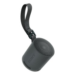 Sony SRS-XB100 Głośnik mono przenośny Czarny