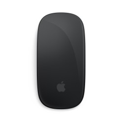 Apple Magic myszka Biuro Oburęczny Bluetooth