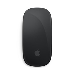 Apple Magic myszka Biuro Oburęczny Bluetooth