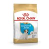 Karma Royal Canin SHN Breed Jack Russ Jun (3 kg )