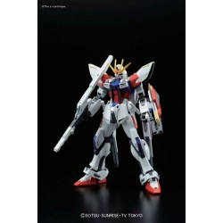 HGBF 1/144 STAR BUILD STRIKE GUNDAM PLAVSKY WING