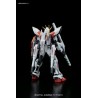 HGBF 1/144 STAR BUILD STRIKE GUNDAM PLAVSKY WING