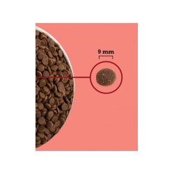ACANA Highest Protein Indoor Cat 4,5kg