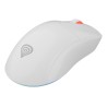 GENESIS Zircon XIII myszka Gaming Oburęczny RF Wireless + USB Type-C Optyczny 26000 DPI