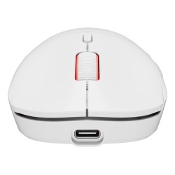 GENESIS Zircon XIII myszka Gaming Oburęczny RF Wireless + USB Type-C Optyczny 26000 DPI