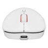 GENESIS Zircon XIII myszka Gaming Oburęczny RF Wireless + USB Type-C Optyczny 26000 DPI