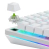 Przełącznik mechaniczny Glorious Raptor Standard Switch, mechanisch, 5-Pin, clicky, MX-Stem, 55g - lubed, 36 Stück