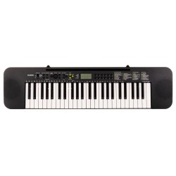 CASIO CTK-240 - Keyboard
