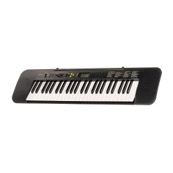 CASIO CTK-240 - Keyboard