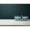 Preparat do pralki i zmywarki ELECTROLUX M2GCP121