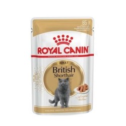 ROYAL CANIN FBN British Shorthair Adult - mokra karma dla dorosłego kota - 12x85g
