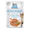 BRIT Care Fillets in Jelly filety z indykiem i krewetkami w galaretce - mokra karma dla kota - 85 g