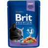 BRIT Cat Pouches Family Plate - mokra karma dla kota - 12 x 100g