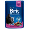 BRIT Cat Pouches Family Plate - mokra karma dla kota - 12 x 100g