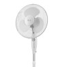 Teesa TSA8021, Wentylator stojący 16" Biały