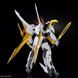 HG AMPLIFIED IMGN RYUOMARU