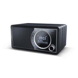 Sharp DR-450 Osobisty Cyfrowy Czarny, Stal nierdzewna