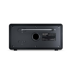Sharp DR-450 Osobisty Cyfrowy Czarny, Stal nierdzewna