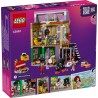LEGO FRIENDS 42653 MUSIC STORE & APLEGO ARTMENT