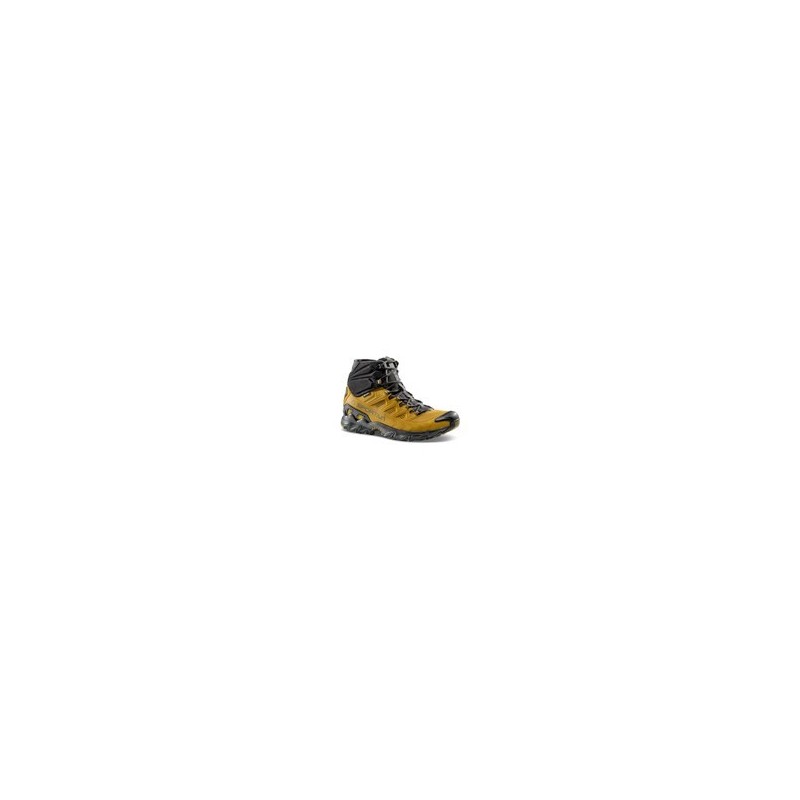 Buty Ultra Raptor II Środkowa Skóra GTX Savana/Alpejski | 44.5