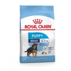 ROYAL CANIN SHN Maxi Puppy - sucha karma dla szczeniąt - 15 kg
