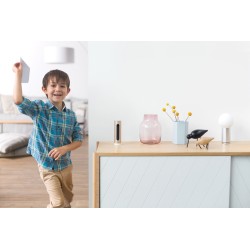 Netatmo Welcome Kamera bezpieczeństwa IP Wewnętrzna 1920 x 1080 px Biurko