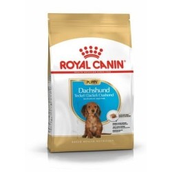 ROYAL CANIN BHN Dachshund Puppy - sucha karma dla szczeniąt - 1,5kg