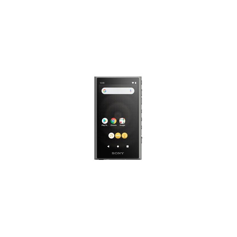 Przenośny odtwarzacz Walkman SONY NW-A306B Czarny Przenośny odtwarzacz Walkman SONY NW-A306B Czarny
