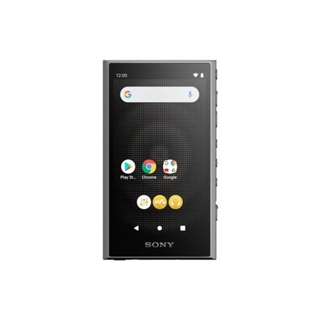 Przenośny odtwarzacz Walkman SONY NW-A306B Czarny