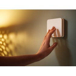 Czujnik czadu Netatmo NCO-EC