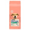 PURINA DOG CHOW Light - sucha karma dla psa - 14 kg