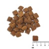 VetExpert Raw Paleo Healthy Grain Salmon&Barley Adult - Karma sucha dla psów - 10kg