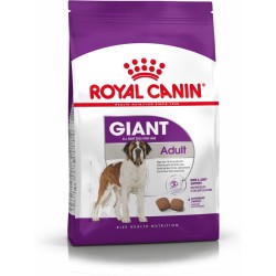 ROYAL CANIN SHN Giant Adult - sucha karma dla psa dorosłego - 15 kg