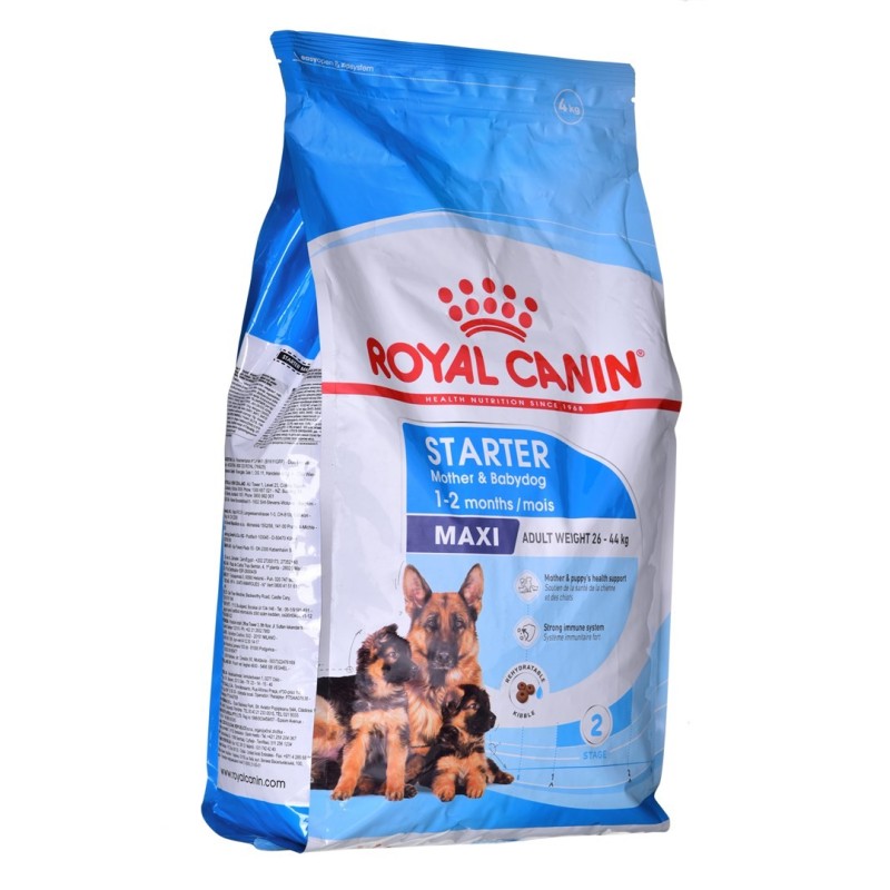 ROYAL CANIN SHN Maxi Starter Mother & Babydog - sucha karma dla psa - 4 kg