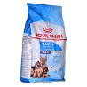 ROYAL CANIN SHN Maxi Starter Mother & Babydog - sucha karma dla psa - 4 kg