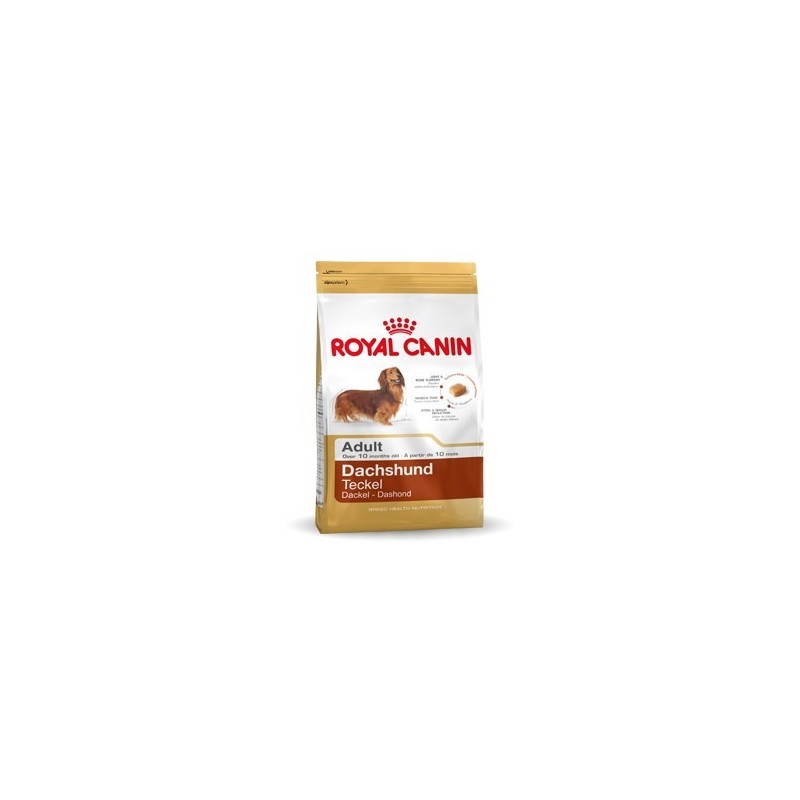 ROYAL CANIN BHN Dachshund Adult - sucha karma dla psa dorosłego - 7,5kg