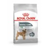 ROYAL CANIN CCN Mini Dental Care - sucha karma dla dorosłych psów - 3 kg