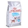 ROYAL CANIN Mini Urinary Care CCN - sucha karma dla psa - 3kg
