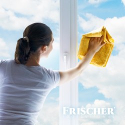 Płyn do mycia szyb Frischer z funkcją antypary 1l