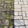 Płyn do usuwania mchu, glonów o zielonych nalotów Frischer 5l