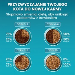 PURINA One Bifensis Senior 7+ Bogata w Kurczaka i Pełne Ziarna - sucha karma dla kota - 800 g